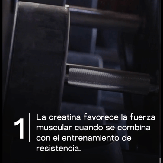 Creatine+ Sin Sabor 228 g