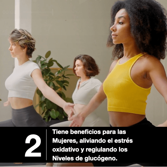 Creatine+ Sin Sabor 228 g